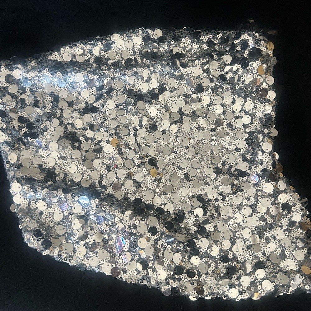 Silver Sequin Tube Top with back zipper